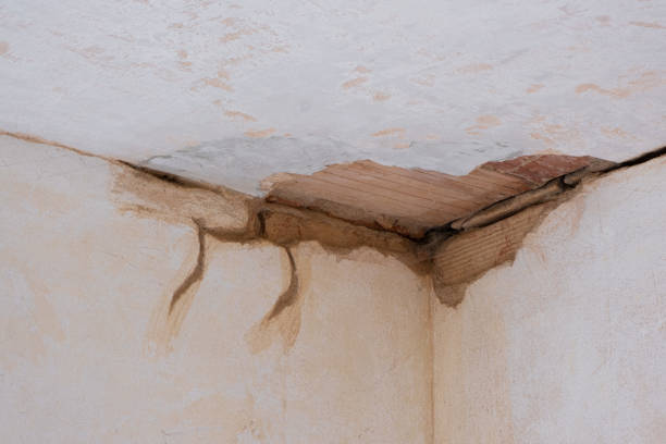 Best Flood restoration services  in Roseland, FL