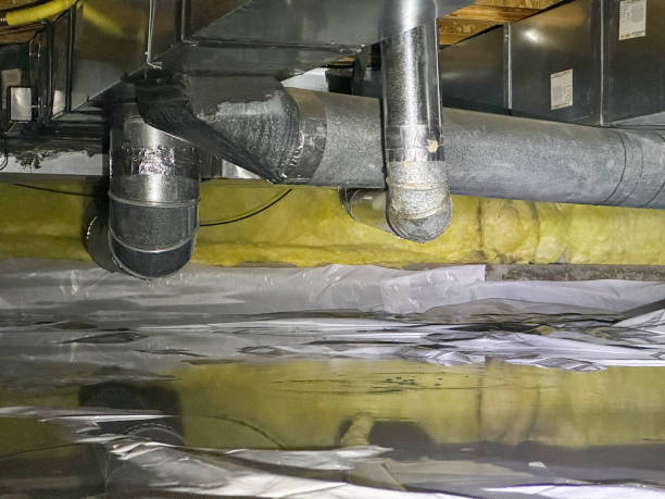 Best 24/7 water damage repair  in Roseland, FL