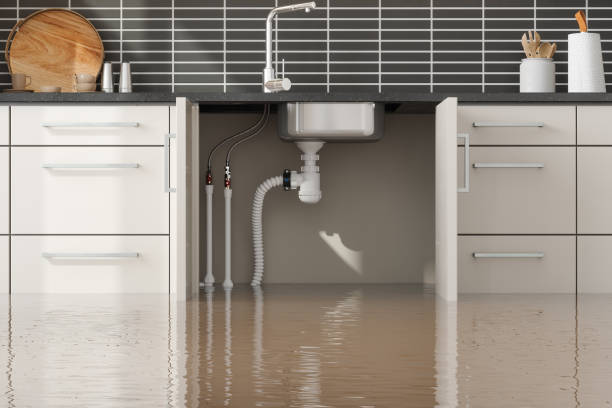 Roseland, FL Water damage restoration Company